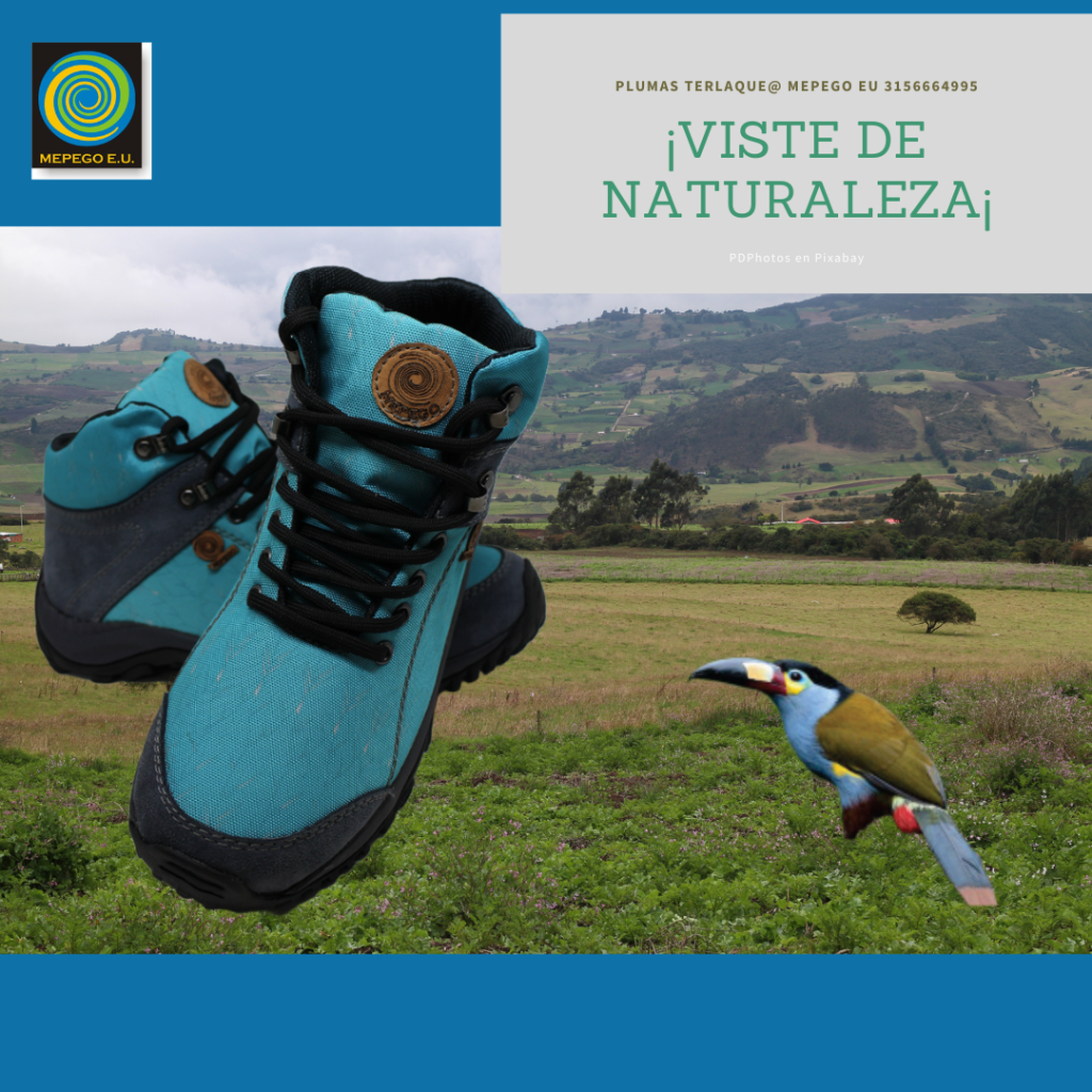 Bota colibri Agua marina