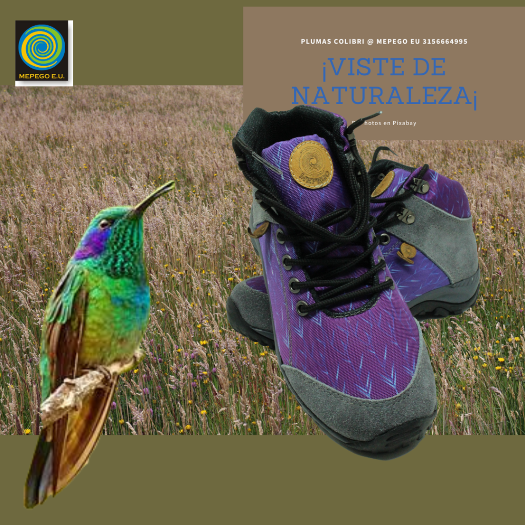 Bota Colibri Violet