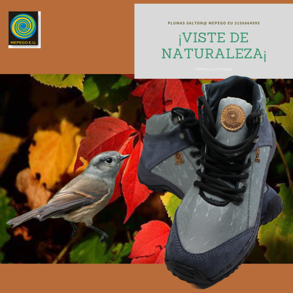 Botas Colibri Gris