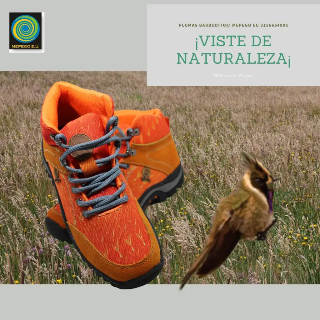 Botas Colibri Tro-chilinae