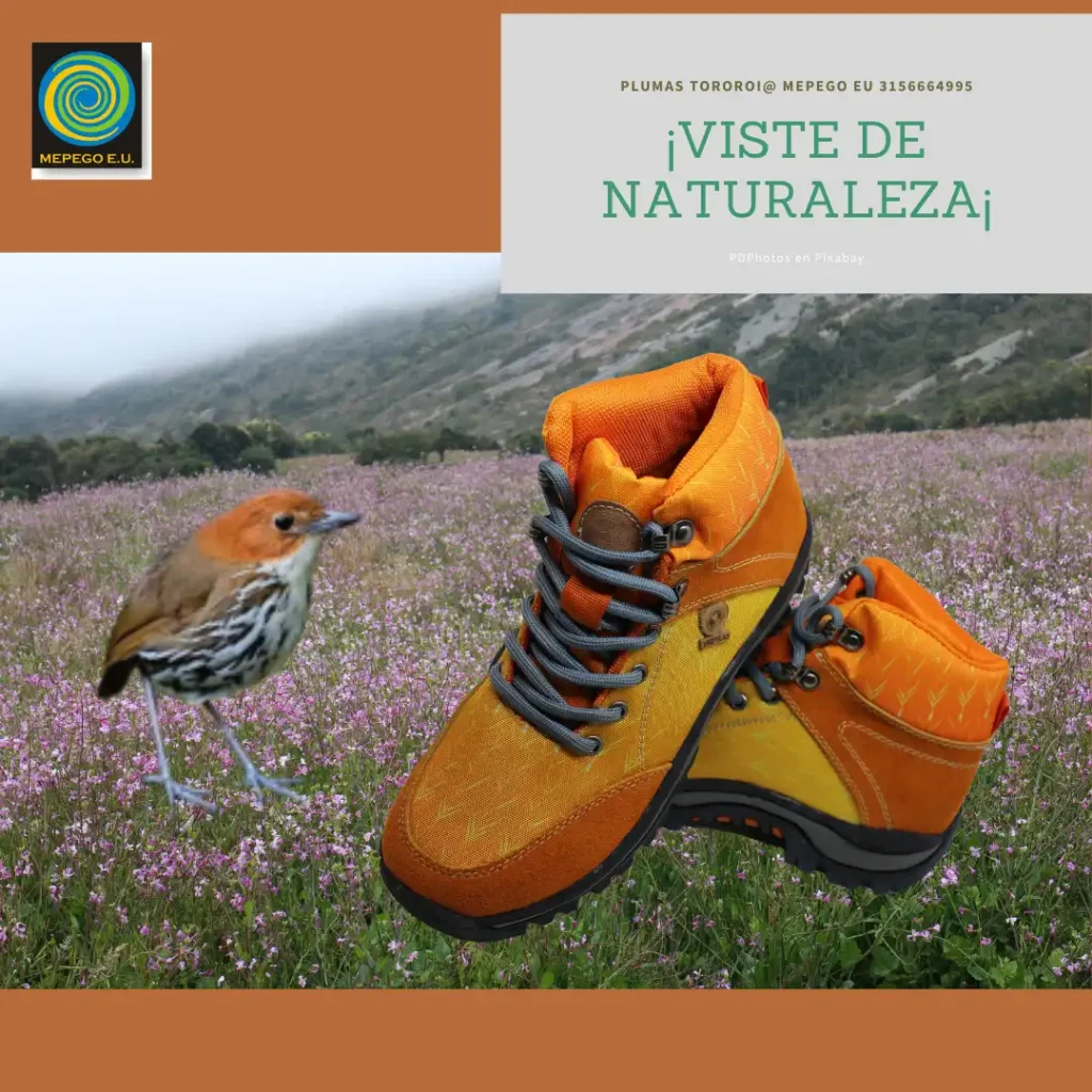 Botas Colibri Tro-chilinae