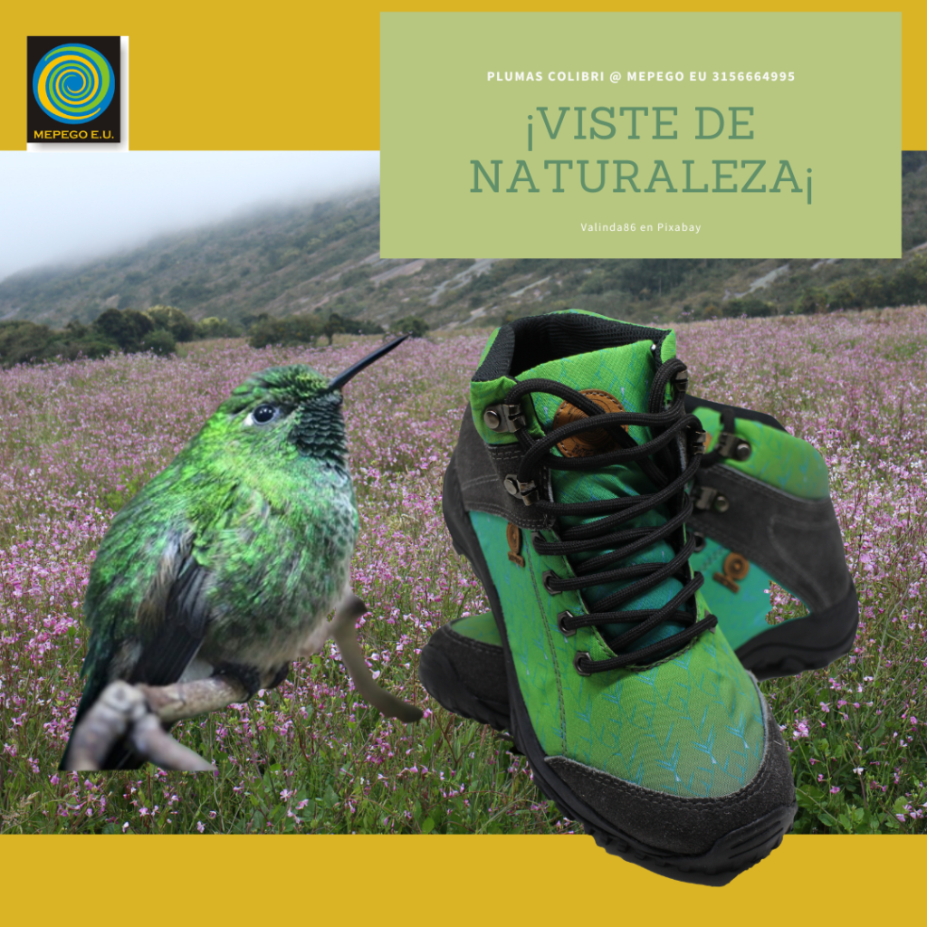 Bota colibri  Verde Viche
