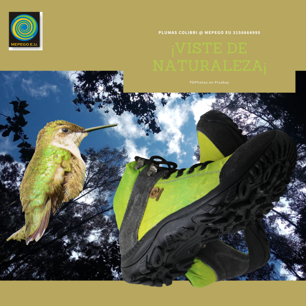 Bota colibri  Verde Viche