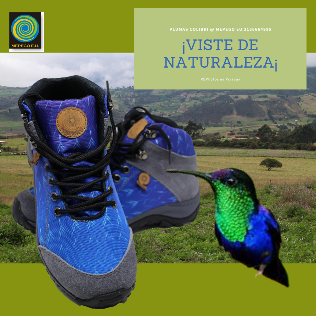 Botas colibri garganta azul